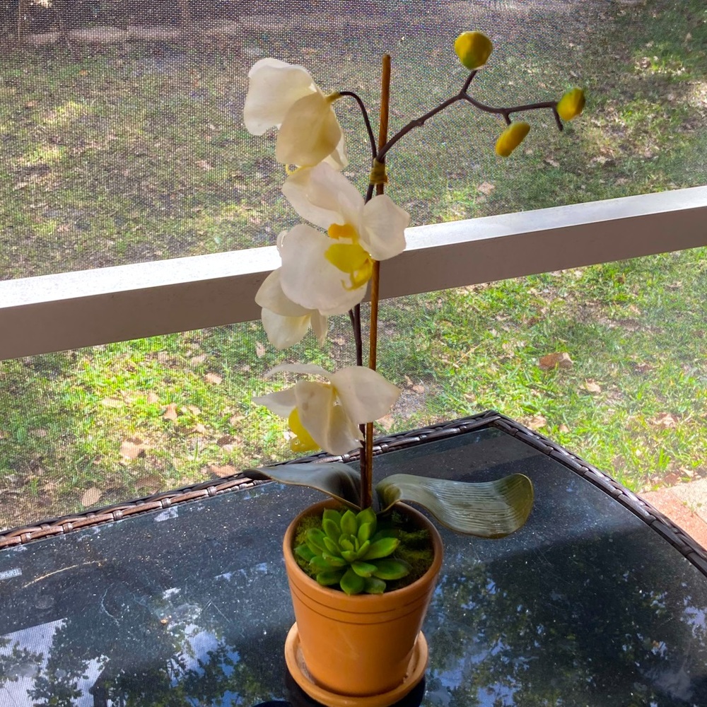 Fake flower orchid decor
